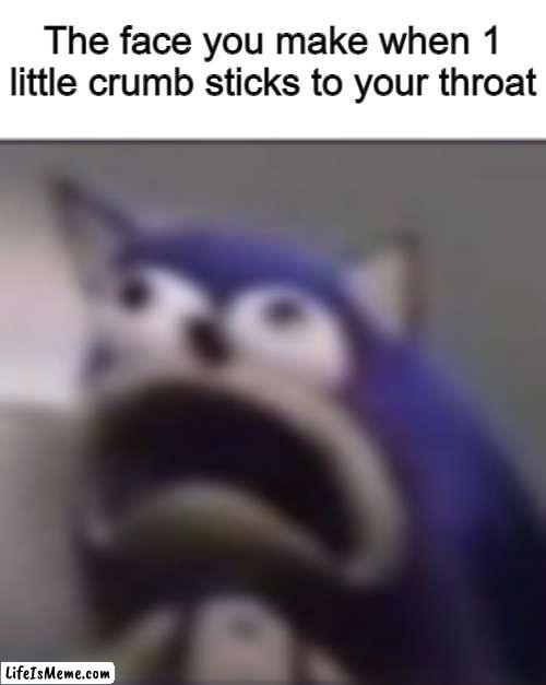 *coughing intensifies* | The face you make when 1 little crumb sticks to your throat | image tagged in sonic meme | made w/ Lifeismeme meme maker