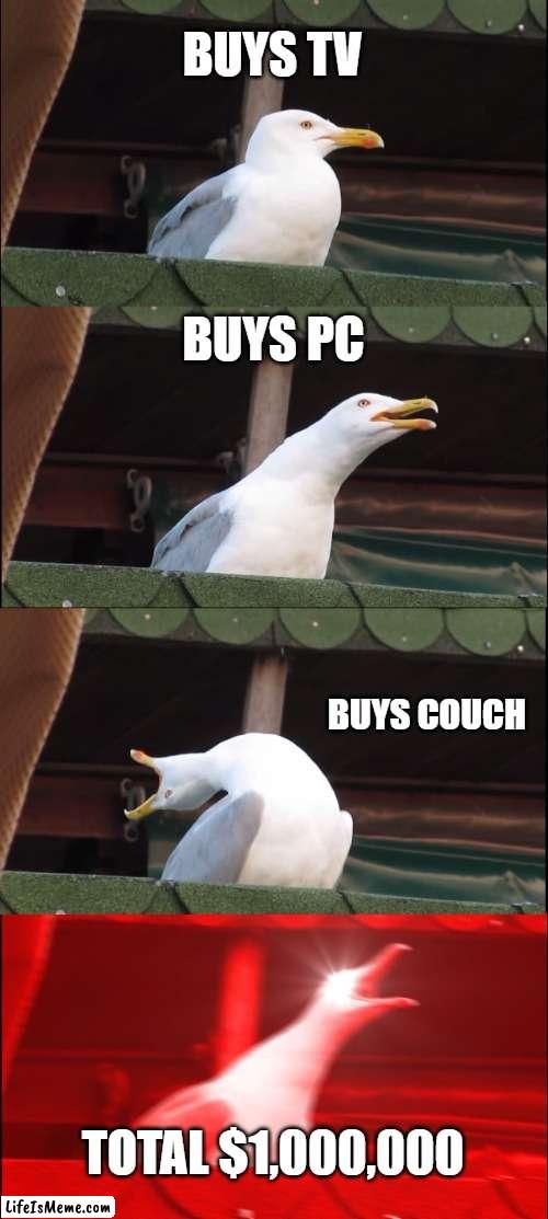 total | BUYS TV; BUYS PC; BUYS COUCH; TOTAL $1,000,000 | image tagged in memes,inhaling seagull | made w/ Lifeismeme meme maker