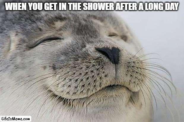 mmm feels so good | WHEN YOU GET IN THE SHOWER AFTER A LONG DAY | image tagged in memes,satisfied seal | made w/ Lifeismeme meme maker