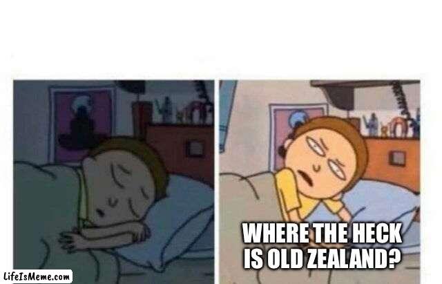 I know it’s in the Netherlands, but I thought this was funny | WHERE THE HECK IS OLD ZEALAND? | image tagged in morty waking up,old zealand,funny not funny | made w/ Lifeismeme meme maker