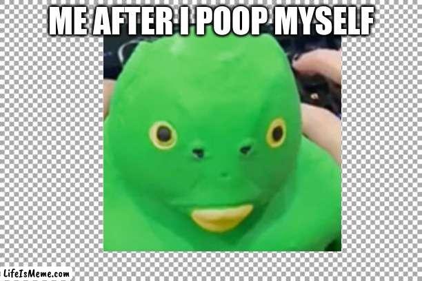 dumb lookin fish | ME AFTER I POOP MYSELF | image tagged in memes | made w/ Lifeismeme meme maker