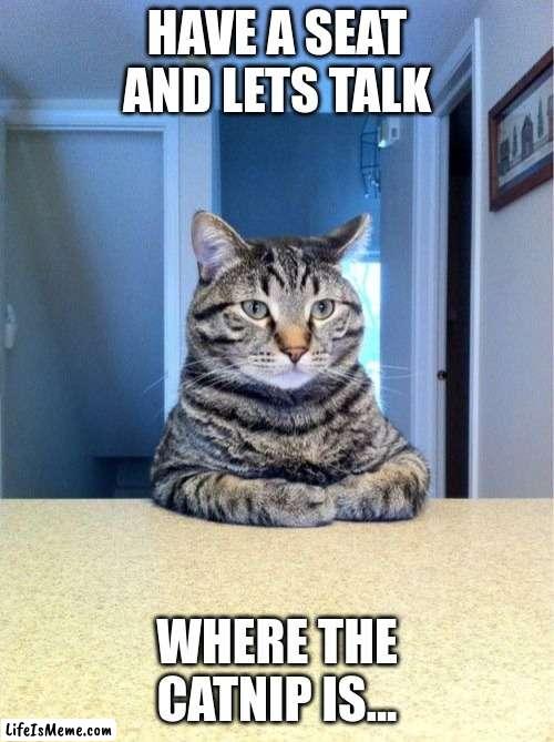 Take A Seat Cat Meme | HAVE A SEAT AND LETS TALK; WHERE THE CATNIP IS... | image tagged in memes,take a seat cat | made w/ Lifeismeme meme maker
