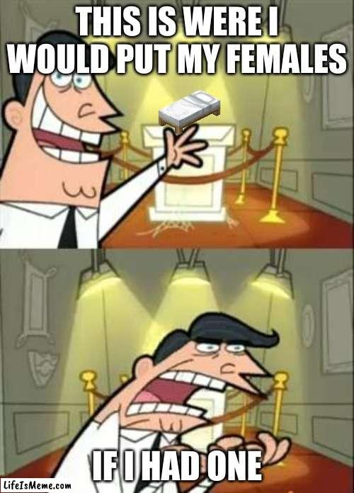 Ah yes. No females | THIS IS WERE I WOULD PUT MY FEMALES; IF I HAD ONE | image tagged in memes,this is where i'd put my trophy if i had one | made w/ Lifeismeme meme maker