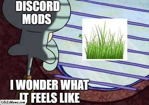 they have 2 wonder what it feels like | DISCORD MODS; I WONDER WHAT IT FEELS LIKE | image tagged in squidward window,true | made w/ Lifeismeme meme maker