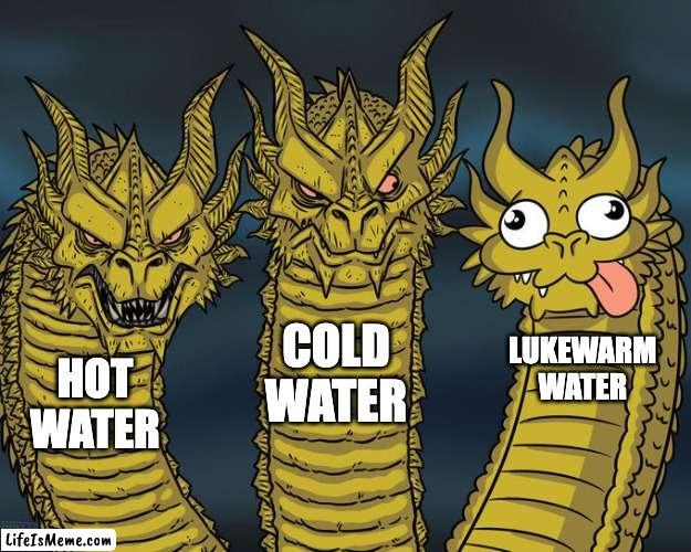Lukewarm water is so nasty | COLD WATER; LUKEWARM
WATER; HOT WATER | image tagged in three-headed dragon | made w/ Lifeismeme meme maker