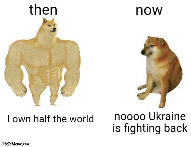 Its evolving just backwards | then; now; I own half the world; noooo Ukraine is fighting back | image tagged in memes,buff doge vs cheems,ukrainian lives matter | made w/ Lifeismeme meme maker
