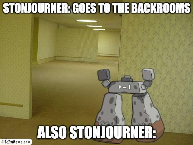 definitely epic | STONJOURNER: GOES TO THE BACKROOMS; ALSO STONJOURNER: | image tagged in the backrooms,stonjourner | made w/ Lifeismeme meme maker