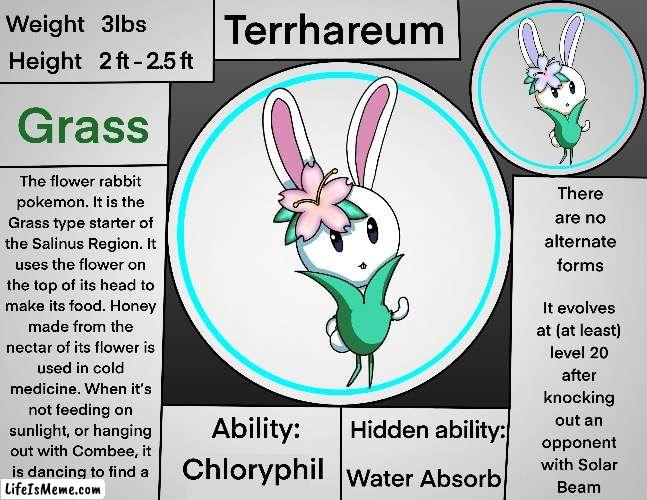 This is the Grass starter! | image tagged in pokemon,fan art | made w/ Lifeismeme meme maker