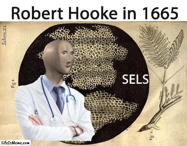 Sels | image tagged in science | made w/ Lifeismeme meme maker