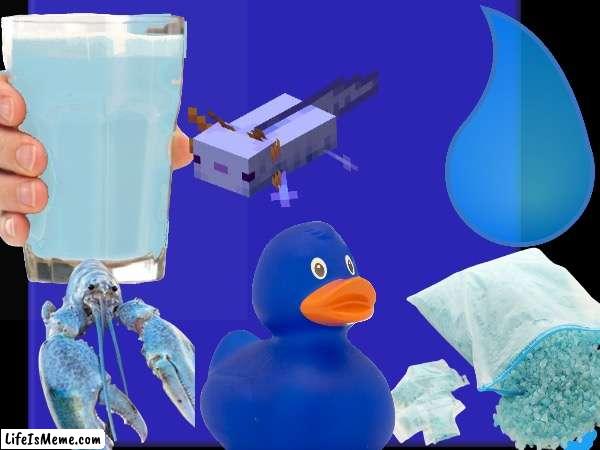 First one to find the verified check mark gets a follow | image tagged in funni,blue,twitter,elon musk | made w/ Lifeismeme meme maker