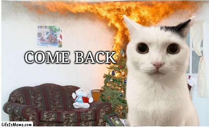 Cat Christmas | COME BACK | image tagged in cat christmas | made w/ Lifeismeme meme maker