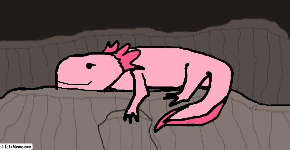 just chillin' | image tagged in axolotl,cute,funny | made w/ Lifeismeme meme maker
