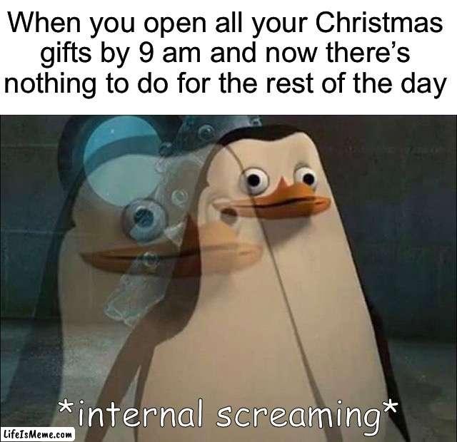 Except using them | When you open all your Christmas gifts by 9 am and now there’s nothing to do for the rest of the day | image tagged in private internal screaming,memes,funny,true story,christmas,relatable memes | made w/ Lifeismeme meme maker