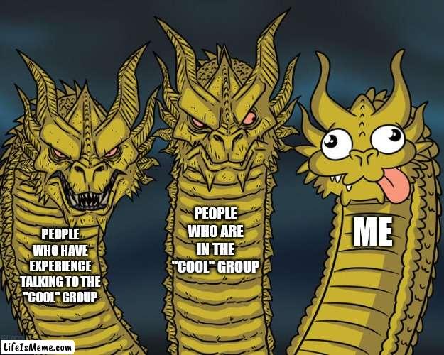 When you try to talk to that "popular" group at school | PEOPLE WHO ARE IN THE "COOL" GROUP; ME; PEOPLE WHO HAVE EXPERIENCE TALKING TO THE "COOL" GROUP | image tagged in three-headed dragon | made w/ Lifeismeme meme maker