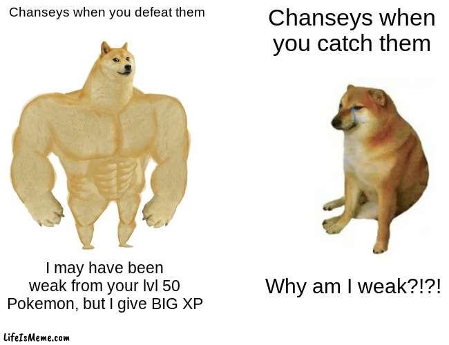 Chanseys in Pokemon Scarlet/Violet give broken amounts of XP | Chanseys when you defeat them; Chanseys when you catch them; I may have been weak from your lvl 50 Pokemon, but I give BIG XP; Why am I weak?!?! | image tagged in memes,buff doge vs cheems,pokemon scarlet,pokemon violet,pokemon scarlet and violet | made w/ Lifeismeme meme maker