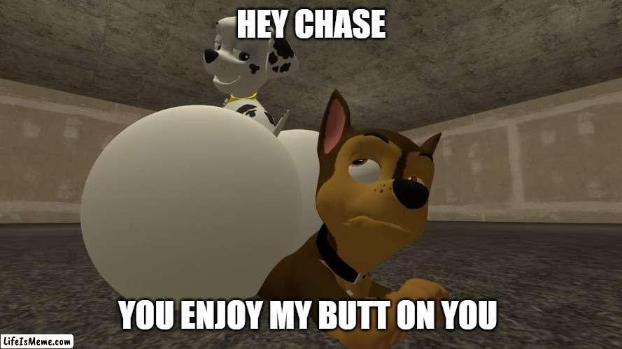 Paw booty | HEY CHASE; YOU ENJOY MY BUTT ON YOU | image tagged in butt,paw patrol | made w/ Lifeismeme meme maker