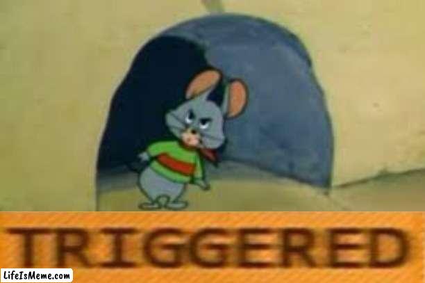 Triggered Topo | image tagged in tom and jerry,triggered | made w/ Lifeismeme meme maker
