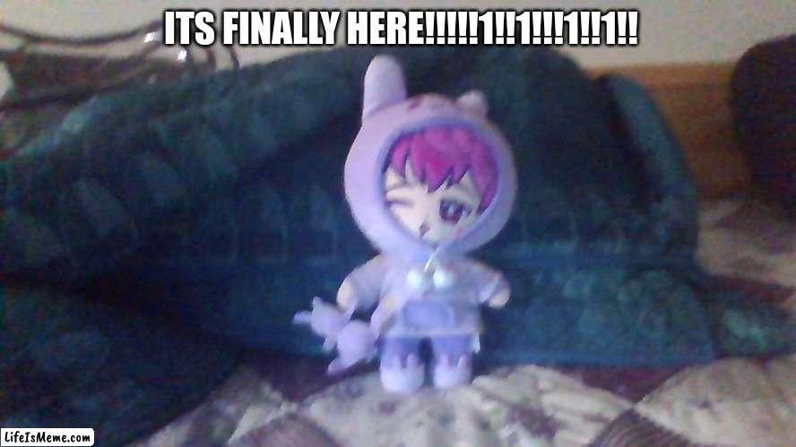 OOOOOH MYYYYY GOOOOOOD!!!!!!! | ITS FINALLY HERE!!!!!1!!1!!!1!!1!! | image tagged in plush,photos,camera,plushies,plushie | made w/ Lifeismeme meme maker
