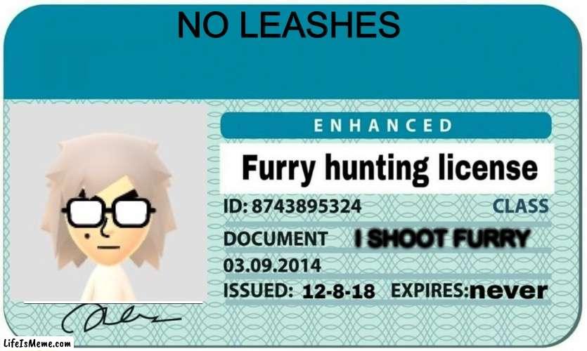 He shoot furry | NO LEASHES; I SHOOT FURRY | image tagged in furry hunting license,memes | made w/ Lifeismeme meme maker