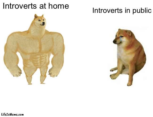Introvert be like | Introverts in public; Introverts at home | image tagged in memes,buff doge vs cheems | made w/ Lifeismeme meme maker