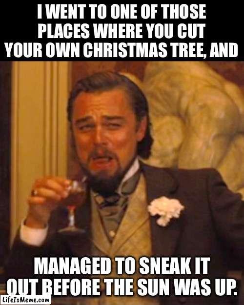 Oh Christmas Tree | I WENT TO ONE OF THOSE PLACES WHERE YOU CUT YOUR OWN CHRISTMAS TREE, AND; MANAGED TO SNEAK IT OUT BEFORE THE SUN WAS UP. | image tagged in memes,laughing leo | made w/ Lifeismeme meme maker
