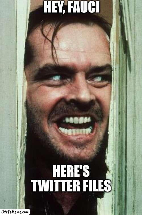 Mo | HEY, FAUCI; HERE'S TWITTER FILES | image tagged in memes,here's johnny | made w/ Lifeismeme meme maker