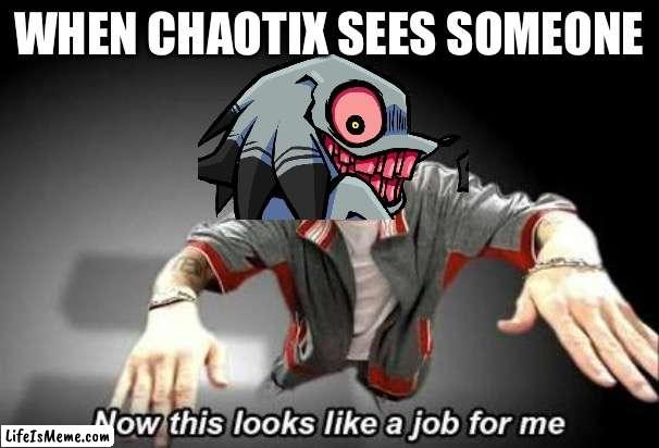 Now this looks like a job for me | WHEN CHAOTIX SEES SOMEONE | image tagged in now this looks like a job for me,friday night funkin,knuckles | made w/ Lifeismeme meme maker