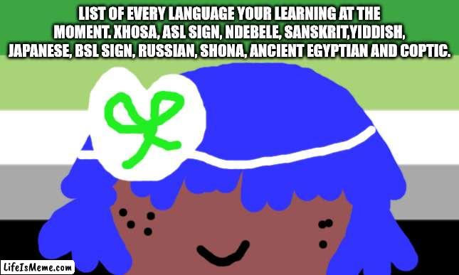 Tina Turna will not die this December | LIST OF EVERY LANGUAGE YOUR LEARNING AT THE MOMENT. XHOSA, ASL SIGN, NDEBELE, SANSKRIT,YIDDISH, JAPANESE, BSL SIGN, RUSSIAN, SHONA, ANCIENT EGYPTIAN AND COPTIC. | image tagged in lgbtq stream account profile | made w/ Lifeismeme meme maker