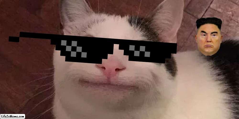 Beluga | image tagged in beluga | made w/ Lifeismeme meme maker