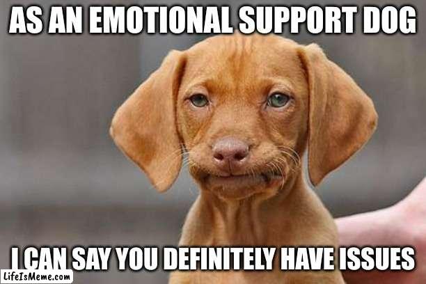 Emotional Support Pet | AS AN EMOTIONAL SUPPORT DOG; I CAN SAY YOU DEFINITELY HAVE ISSUES | image tagged in emotional support pet,dogs,issues,people,medical,family | made w/ Lifeismeme meme maker