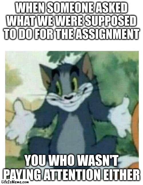 IDK Tom Template | WHEN SOMEONE ASKED WHAT WE WERE SUPPOSED TO DO FOR THE ASSIGNMENT; YOU WHO WASN'T PAYING ATTENTION EITHER | image tagged in idk tom template | made w/ Lifeismeme meme maker