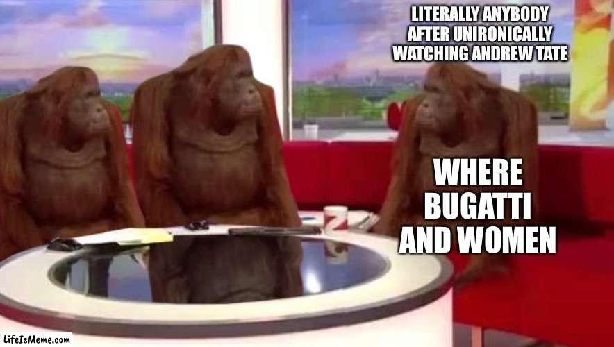 what color is your Bugatti? | LITERALLY ANYBODY AFTER UNIRONICALLY WATCHING ANDREW TATE; WHERE BUGATTI AND WOMEN | image tagged in where monkey | made w/ Lifeismeme meme maker