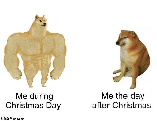 Christmas Day | Me the day after Christmas; Me during Christmas Day | image tagged in memes,buff doge vs cheems | made w/ Lifeismeme meme maker