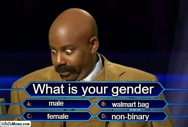 uhhhh maybe walmart ba- | What is your gender; male; walmart bag; non-binary; female | image tagged in who wants to be a millionaire | made w/ Lifeismeme meme maker