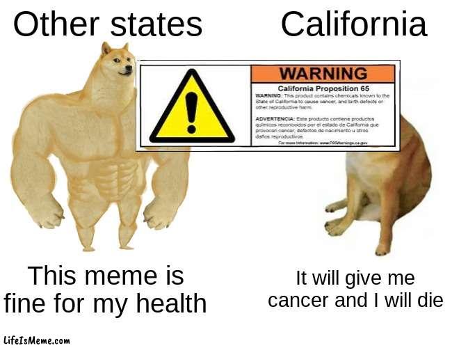 No offense, California | Other states; California; This meme is fine for my health; It will give me cancer and I will die | image tagged in memes,buff doge vs cheems | made w/ Lifeismeme meme maker