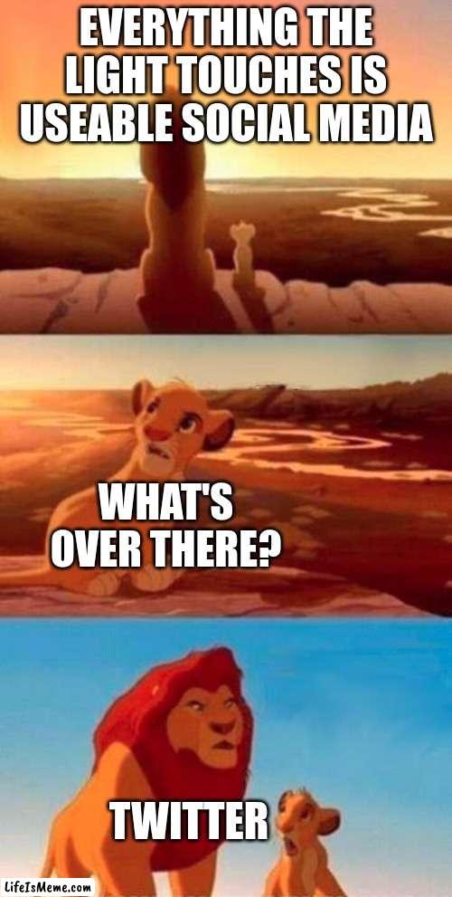 insert smort title | EVERYTHING THE LIGHT TOUCHES IS USEABLE SOCIAL MEDIA; WHAT'S OVER THERE? TWITTER | image tagged in lion king,ha ha tags go brr | made w/ Lifeismeme meme maker