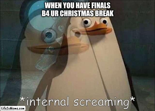 I have this :_( | WHEN YOU HAVE FINALS B4 UR CHRISTMAS BREAK | image tagged in private internal screaming | made w/ Lifeismeme meme maker