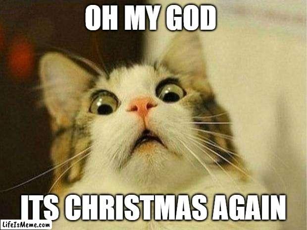 Cristmas :) | OH MY GOD; ITS CHRISTMAS AGAIN | image tagged in memes,scared cat | made w/ Lifeismeme meme maker