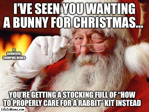 christmas bunny | I’VE SEEN YOU WANTING A BUNNY FOR CHRISTMAS…; @ BUNDERFUL THUMPING MEMES; YOU’RE GETTING A STOCKING FULL OF “HOW TO PROPERLY CARE FOR A RABBIT” KIT INSTEAD | image tagged in santa | made w/ Lifeismeme meme maker
