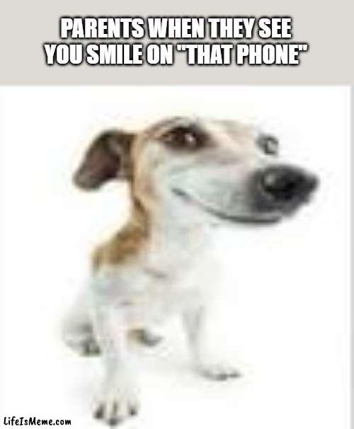 maybe true??? | PARENTS WHEN THEY SEE YOU SMILE ON "THAT PHONE" | image tagged in goofy dog | made w/ Lifeismeme meme maker