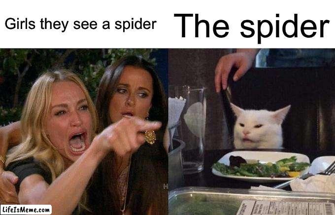 the truth comes out the mouths of idiots | Girls they see a spider; The spider | image tagged in memes,woman yelling at cat | made w/ Lifeismeme meme maker