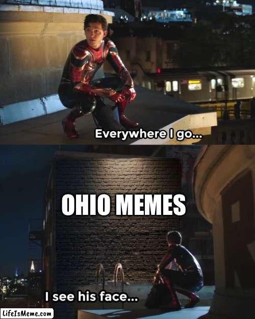 down in ohio swag like ohio | OHIO MEMES | image tagged in everywhere i go i see his face | made w/ Lifeismeme meme maker