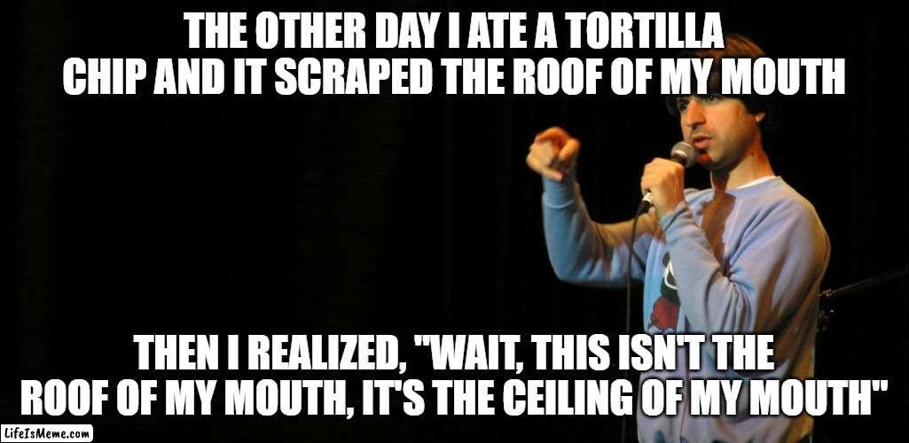 DEMETRI MARTIN | THE OTHER DAY I ATE A TORTILLA CHIP AND IT SCRAPED THE ROOF OF MY MOUTH; THEN I REALIZED, "WAIT, THIS ISN'T THE ROOF OF MY MOUTH, IT'S THE CEILING OF MY MOUTH" | image tagged in demetri martin | made w/ Lifeismeme meme maker