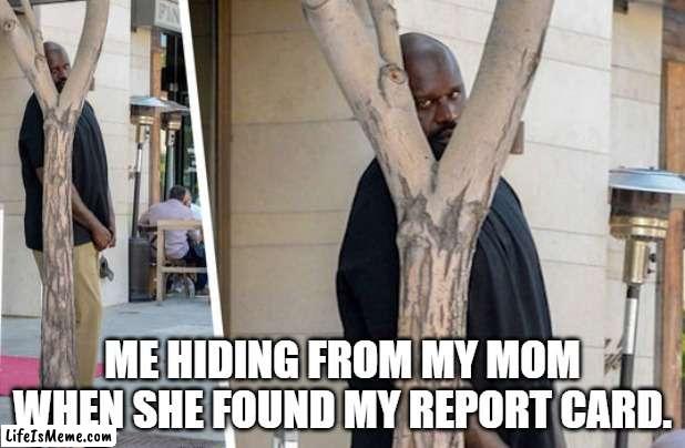 Shaq hiding | ME HIDING FROM MY MOM WHEN SHE FOUND MY REPORT CARD. | image tagged in shaq hiding | made w/ Lifeismeme meme maker