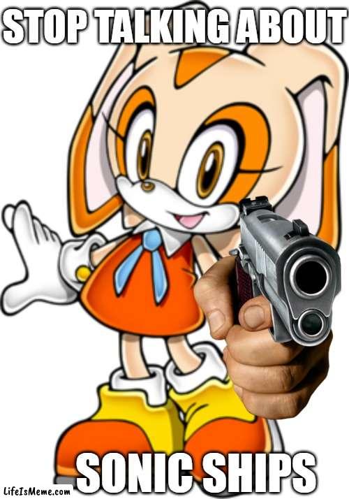 no one wants ur frecking ships | STOP TALKING ABOUT; SONIC SHIPS | image tagged in cream the rabbit sonic adventure design,shut,sonic the hedgehog | made w/ Lifeismeme meme maker