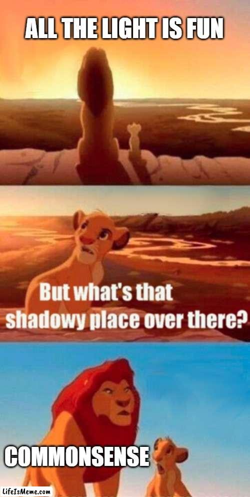 commonsense | ALL THE LIGHT IS FUN; COMMONSENSE | image tagged in memes,simba shadowy place | made w/ Lifeismeme meme maker