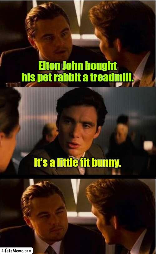 Get it? | Elton John bought his pet rabbit a treadmill. It's a little fit bunny. | image tagged in memes,inception,funny | made w/ Lifeismeme meme maker