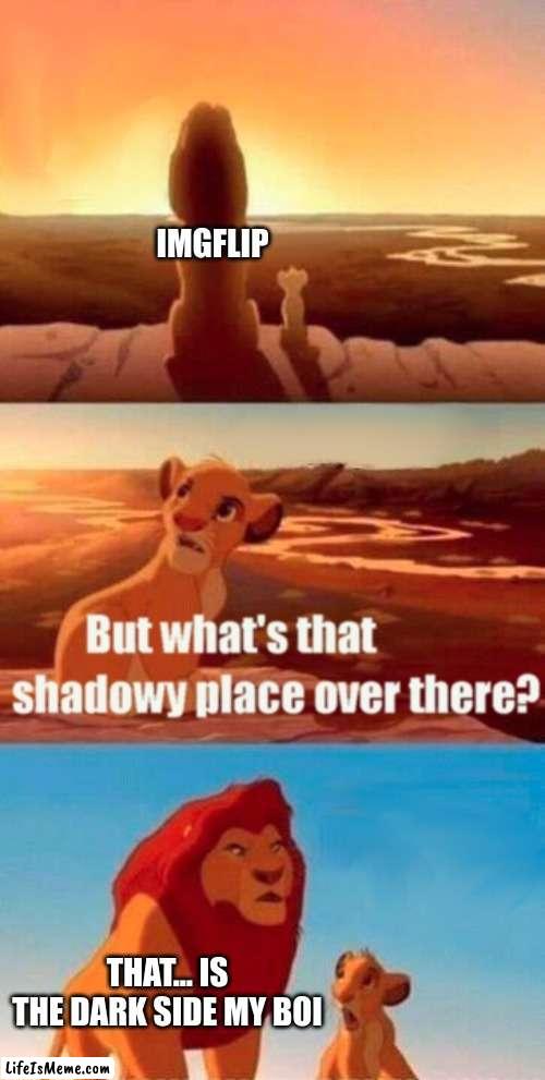 the dark side of imgflip | IMGFLIP; THAT... IS THE DARK SIDE MY BOI | image tagged in memes,simba shadowy place | made w/ Lifeismeme meme maker