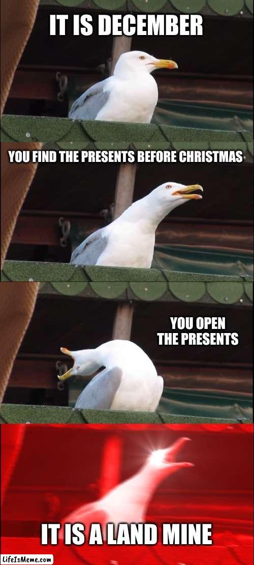 just what I wanted | IT IS DECEMBER; YOU FIND THE PRESENTS BEFORE CHRISTMAS; YOU OPEN THE PRESENTS; IT IS A LAND MINE | image tagged in memes,inhaling seagull | made w/ Lifeismeme meme maker