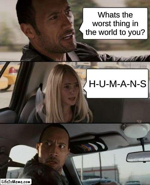 She hates humans | Whats the worst thing in the world to you? H-U-M-A-N-S | image tagged in memes,the rock driving | made w/ Lifeismeme meme maker